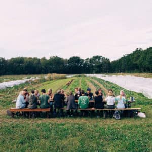 Solidarische Landwirtschaft WirGarten Open Social Franchise Netzwerk