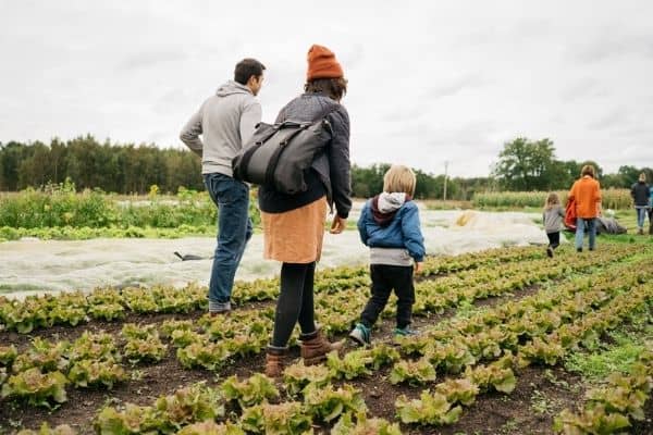 Gründen mit der regionalen Community - eine Familie mit Kindern besucht einen Gemüsebaubetrieb